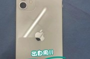 以苹果改内存机器的优缺点分析（探索苹果电脑内存扩展的实际效果与风险）