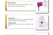 She3590耳机（探索音乐新境界的绝佳选择）