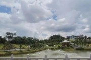 荣耀8拍照单反效果的惊艳表现（荣耀8拍照单反效果如何？以及其拍照功能的特点和优势）
