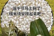 糯米3s手机（全面升级，更快更顺畅！）