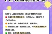 U盘启动PE系统教程（U盘制作及启动步骤详解）