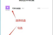 戴尔电脑如何使用U盘进行启动（详细教程带你轻松完成启动过程）