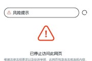 手机已连接但无法访问网络的解决方法（排除手机连接问题，重置网络设置，寻求专业帮助）