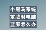 电脑系统显示镜像错误的原因及解决方法（解决电脑系统显示镜像错误的有效途径）